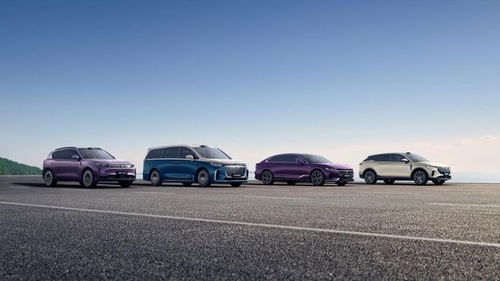 嵐圖汽車謀變 產(chǎn)品與技術(shù)雙輪驅(qū)動(dòng)，沖刺港股奔赴新戰(zhàn)場