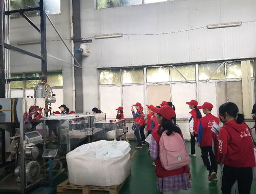 探秘環保工廠，爭當綠色先鋒——本報小記者化身環保大使走進賽高環保工廠